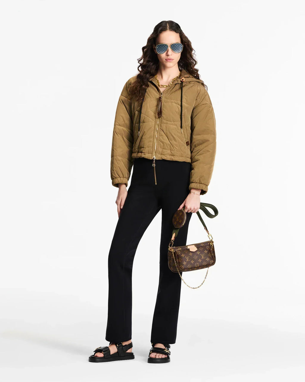 LV Multi Pochette Accessoires Bag